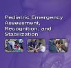 PEARS Course Implementation